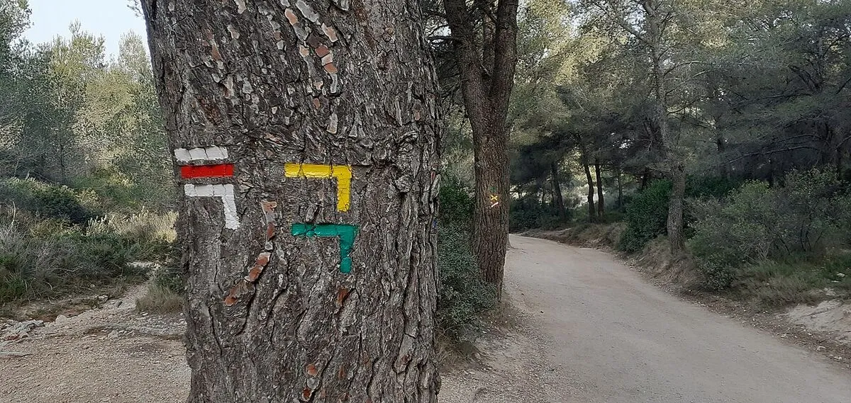 Camargue by Bike: Saintes-Maries to Aigues-Mortes