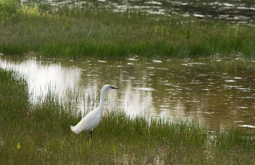 Hauts-de-France : Histoire et Nature