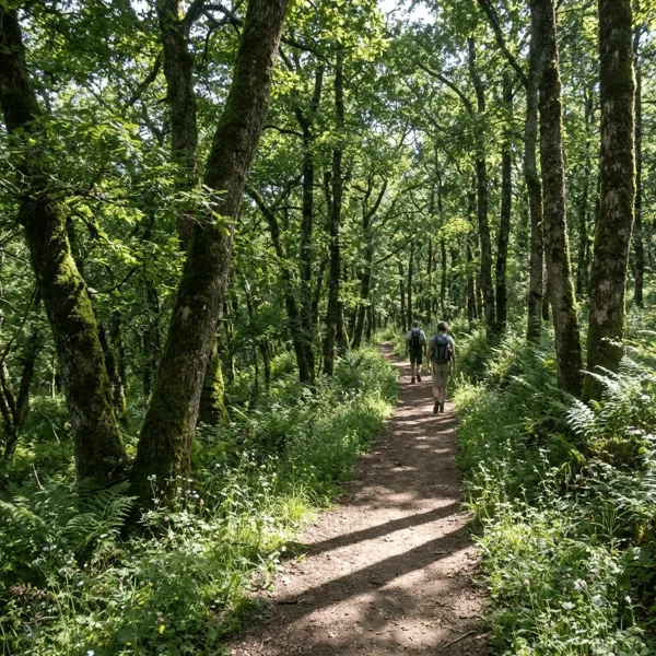 French Coastline Road Trip
