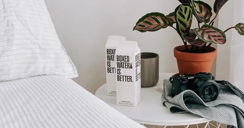 Alsace by Bike through Vineyards