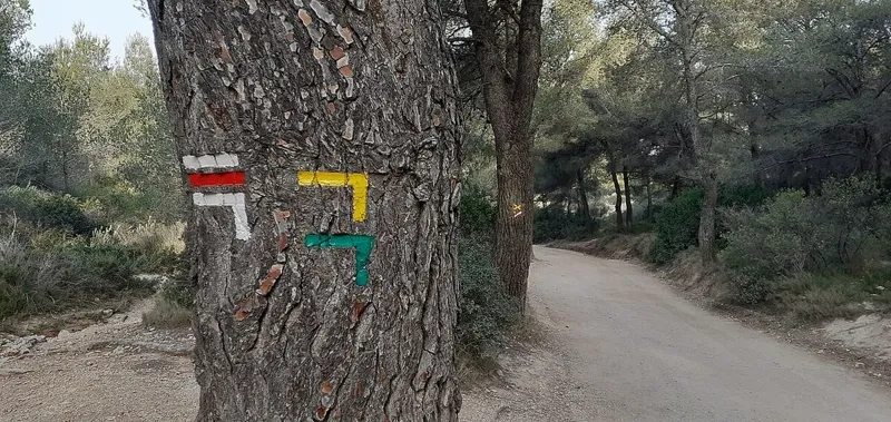 Camargue by Bike: Saintes-Maries to Aigues-Mortes