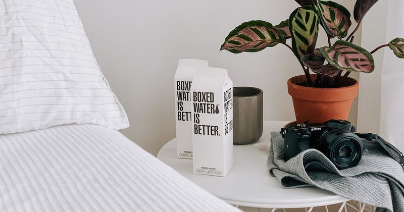 La Route des Vins d'Alsace : Entre Vignobles et Villages de Charme