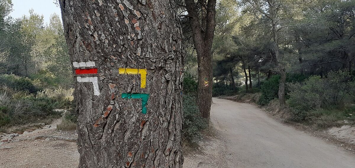 Bouches-du-Rhône : Marseille et les Calanques